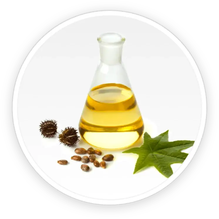 Undecylenic Acid icon
