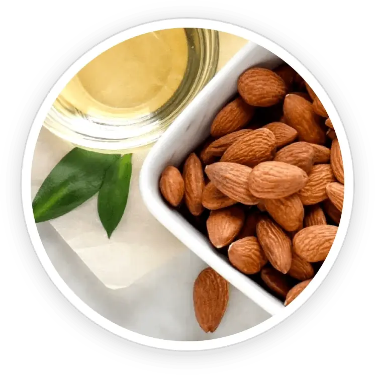 Sweet Almond Oil icon