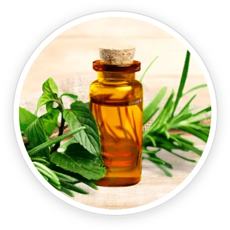 Tea Tree Oil icon