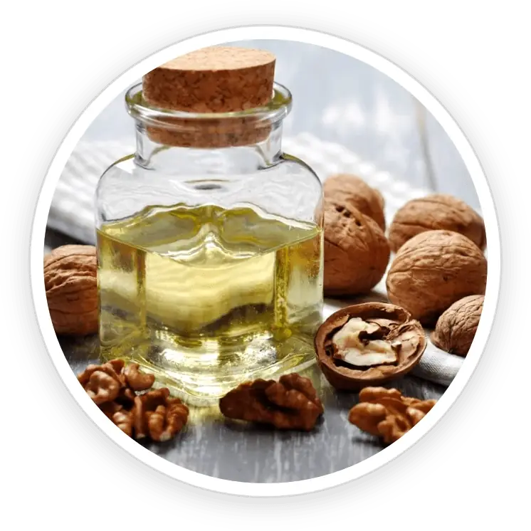 Walnut Oil icon